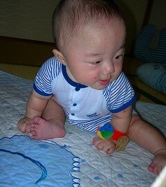 ジャガイモと玉ねぎ（離乳食8日目）
